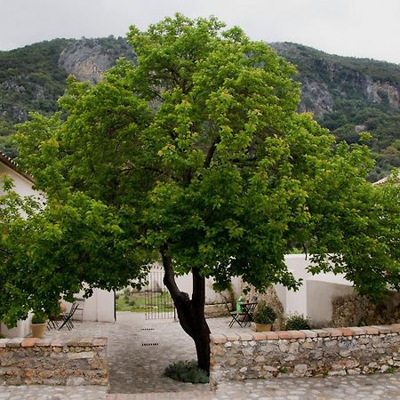 Casa Rural El Vihuelo El Bosque Eksteriør bilde