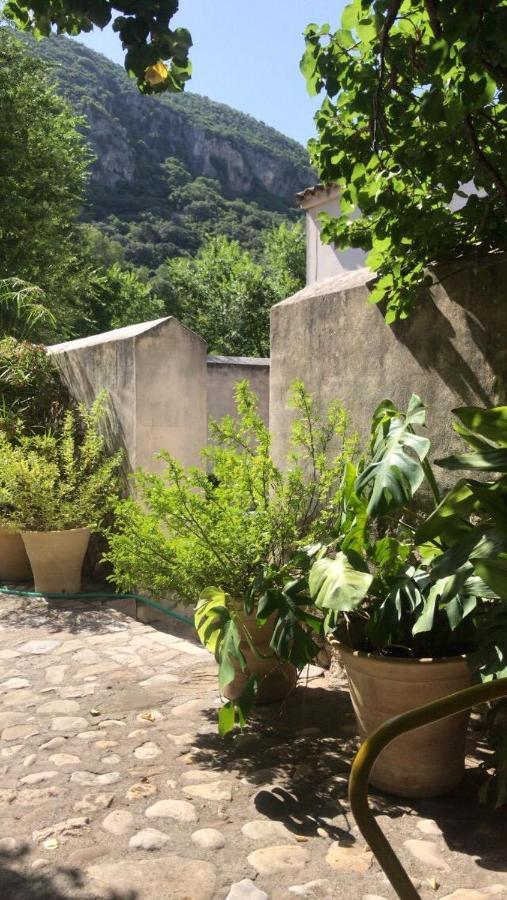 Casa Rural El Vihuelo El Bosque Eksteriør bilde