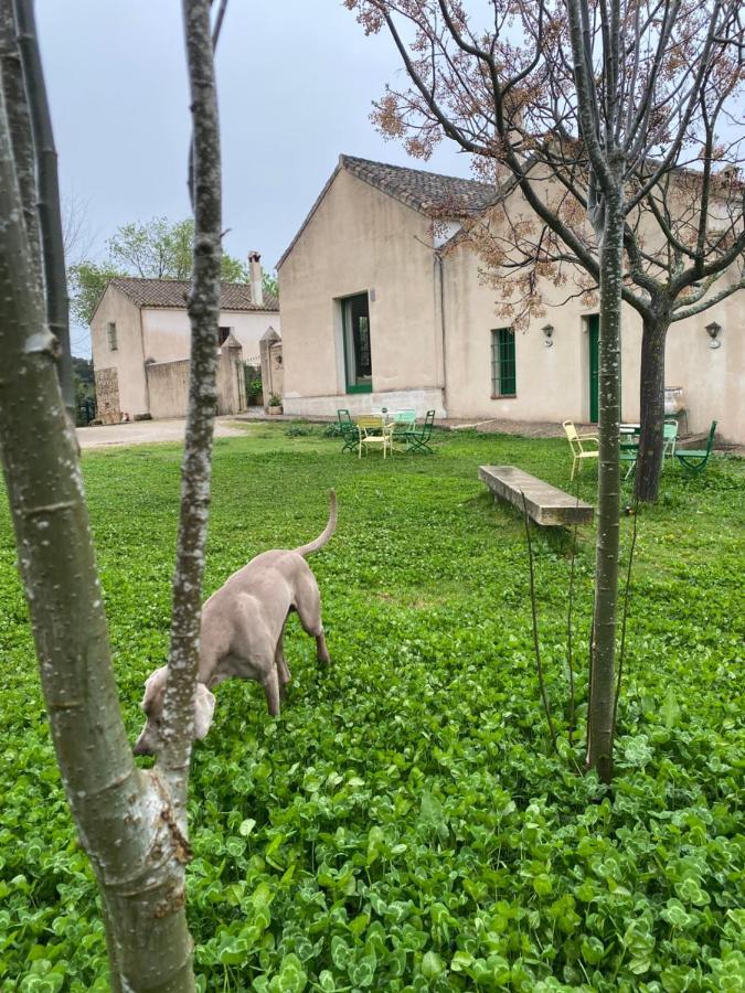 Casa Rural El Vihuelo El Bosque Eksteriør bilde