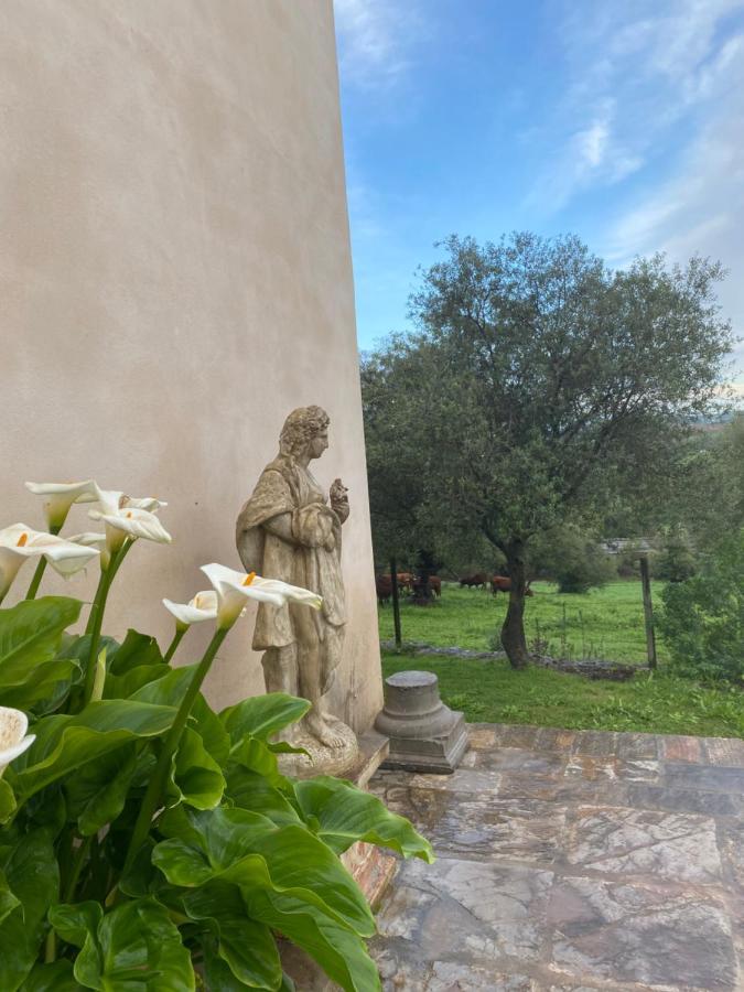 Casa Rural El Vihuelo El Bosque Eksteriør bilde