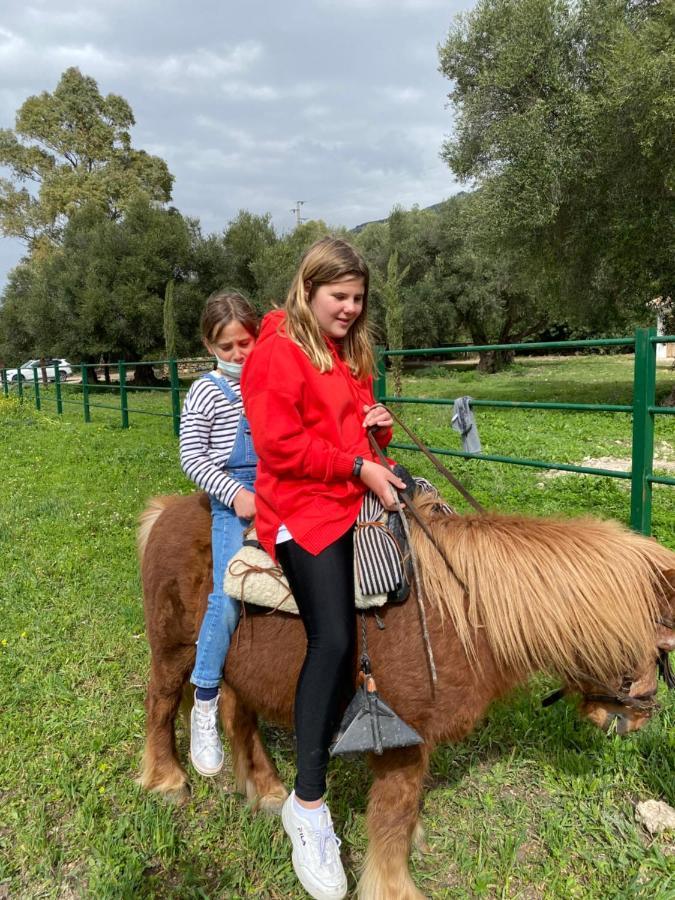Casa Rural El Vihuelo El Bosque Eksteriør bilde