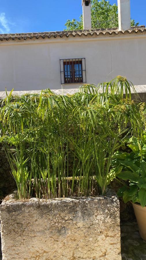 Casa Rural El Vihuelo El Bosque Eksteriør bilde