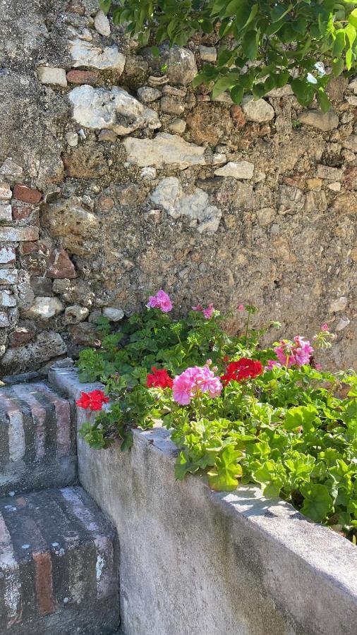 Casa Rural El Vihuelo El Bosque Eksteriør bilde