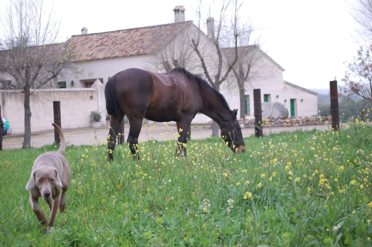 Casa Rural El Vihuelo El Bosque Eksteriør bilde