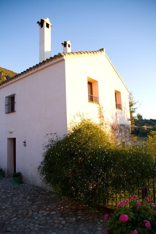 Casa Rural El Vihuelo El Bosque Eksteriør bilde
