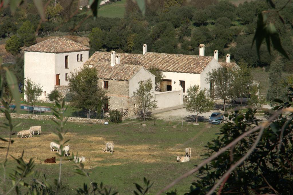 Casa Rural El Vihuelo El Bosque Eksteriør bilde