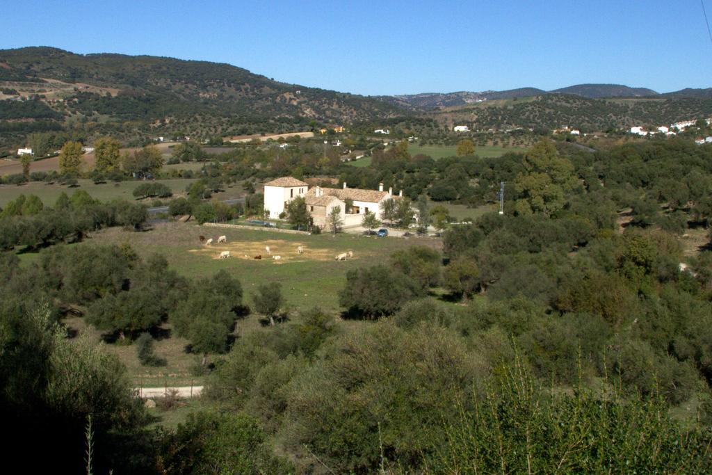 Casa Rural El Vihuelo El Bosque Eksteriør bilde